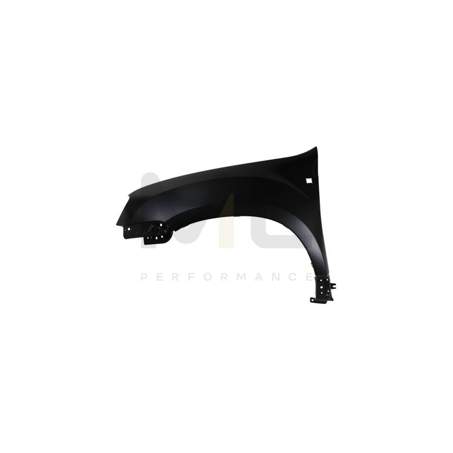 BLIC 6508-04-1617701PP Trim / Protective Strip, roof for NISSAN Qashqai / Qashqai+2 I (J10, NJ10) | ML Performance Car Parts