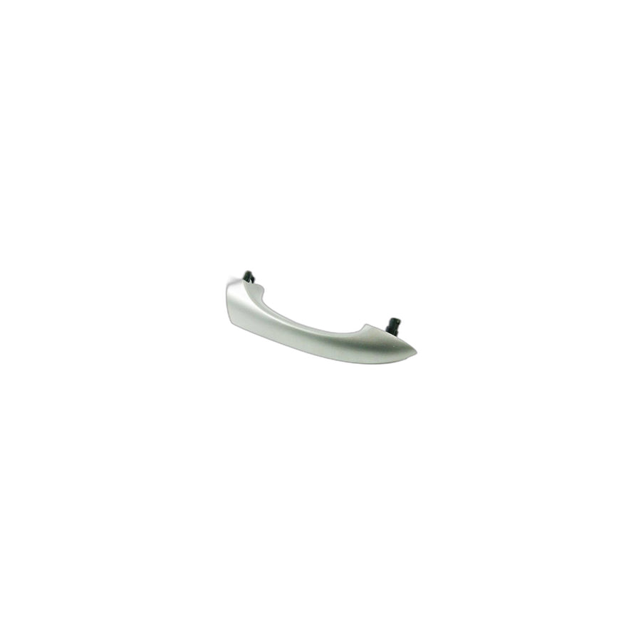 Genuine BMW 51217002312 E53 Handle Bracket Right TITAN (Inc. X5 4.6is, X5 4.8is & X5 4.4i) | ML Performance UK Car Parts