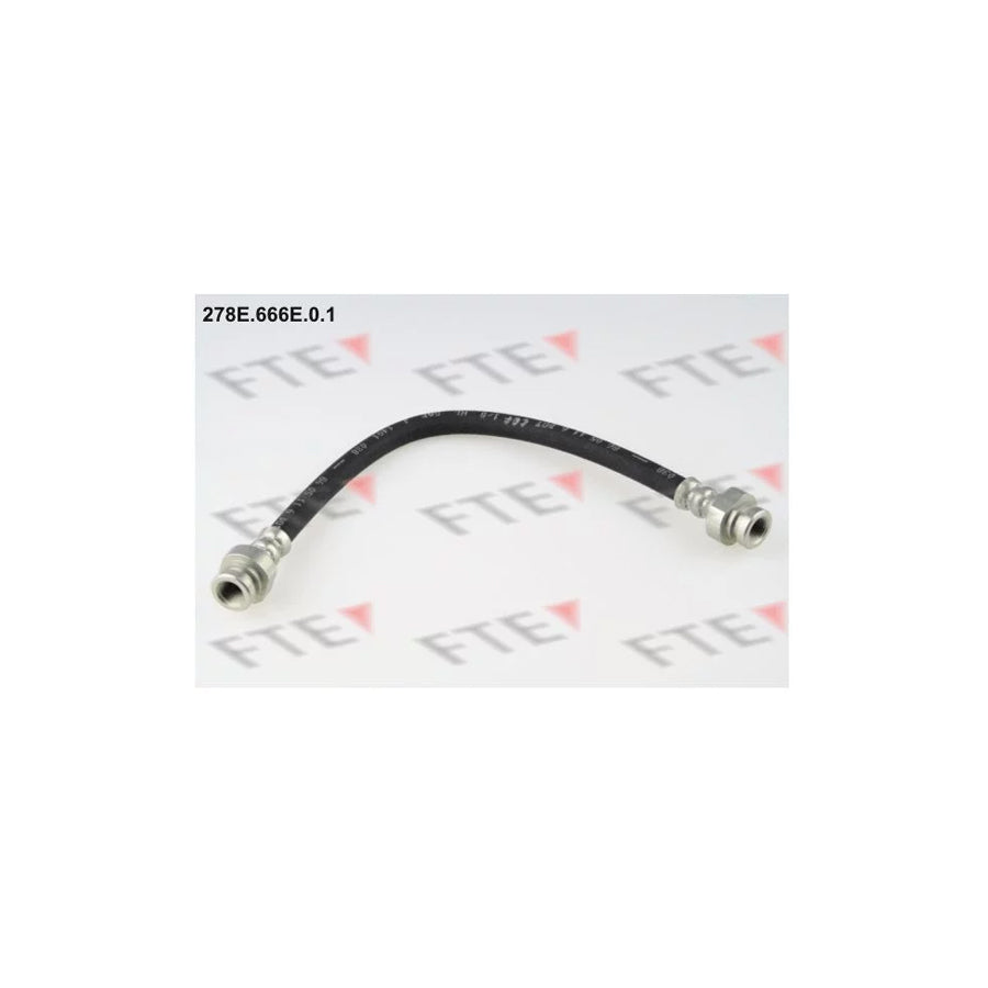 FTE 278E.666E.0.1 Brake Hose