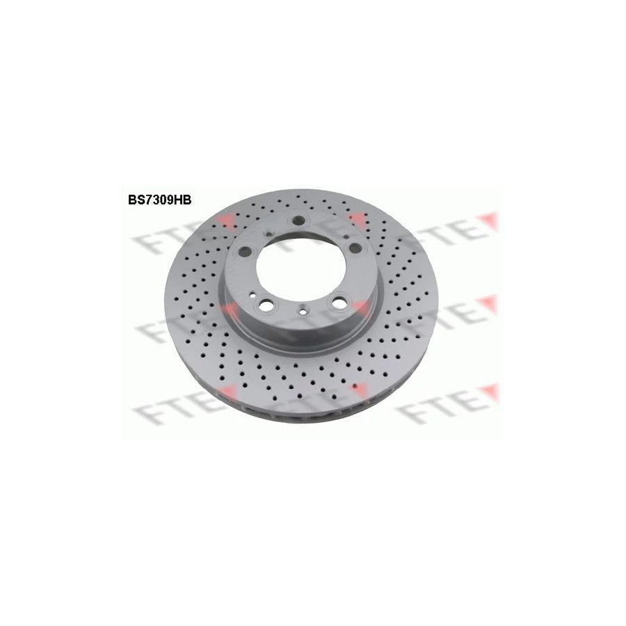FTE 9081332 Brake Disc