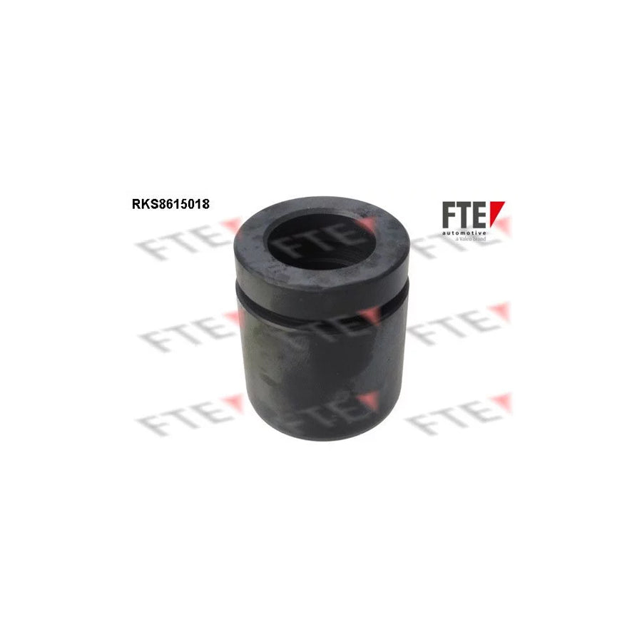 FTE 9313134 Piston, Brake Caliper