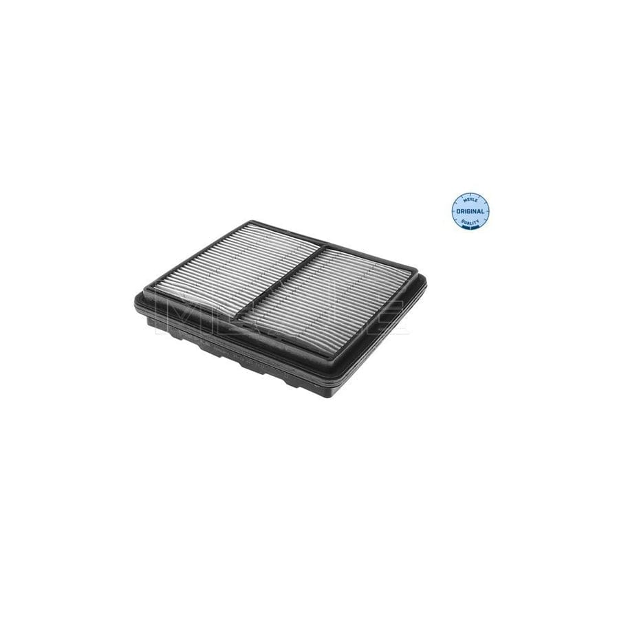 Meyle 31-12 321 0019 Air Filter