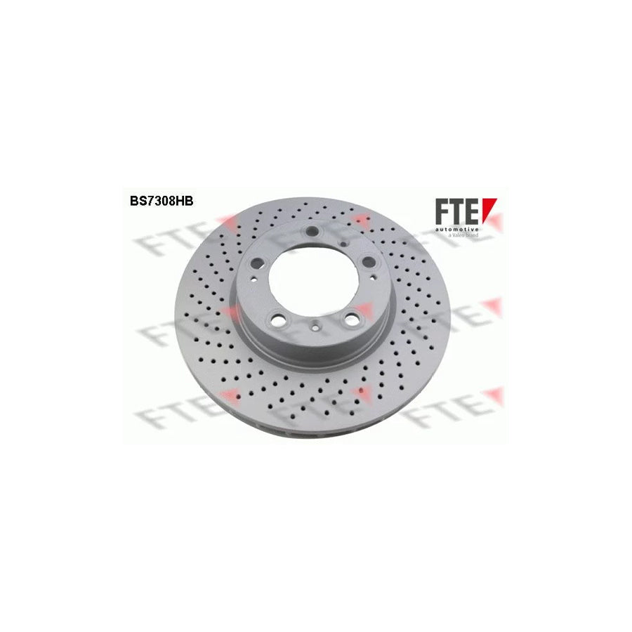 FTE 9081331 Brake Disc