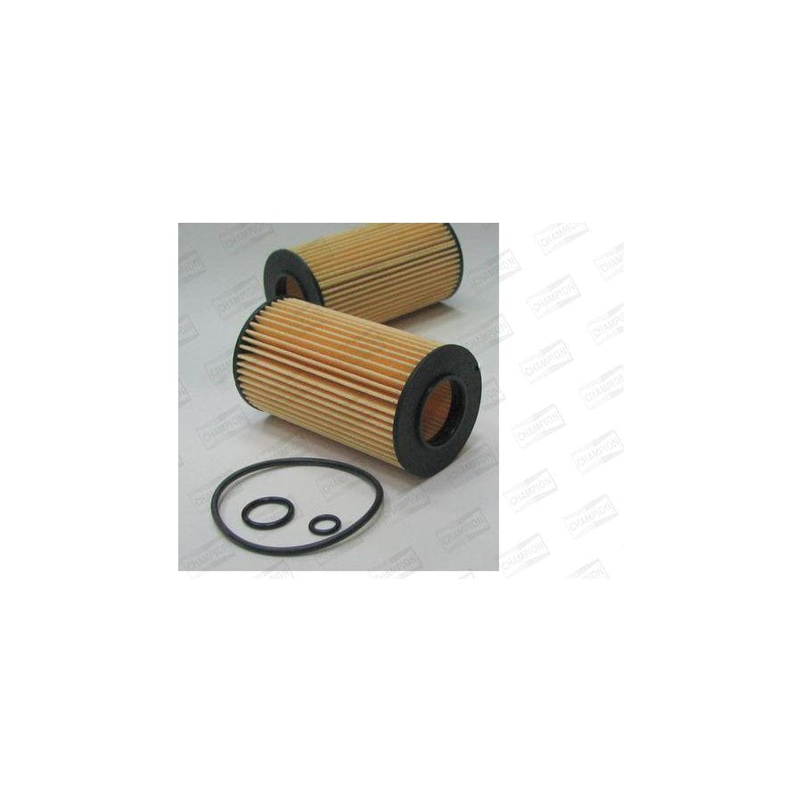 Champion Xe572/606 Oil Filter