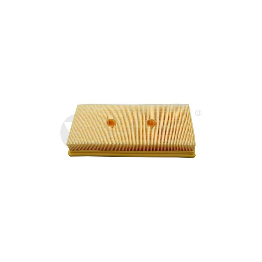 Vika 11290197101 Air Filter