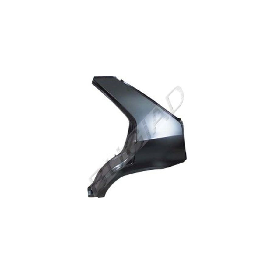 BUGIAD Bsp21869 Wing Fender for Skoda Felicia