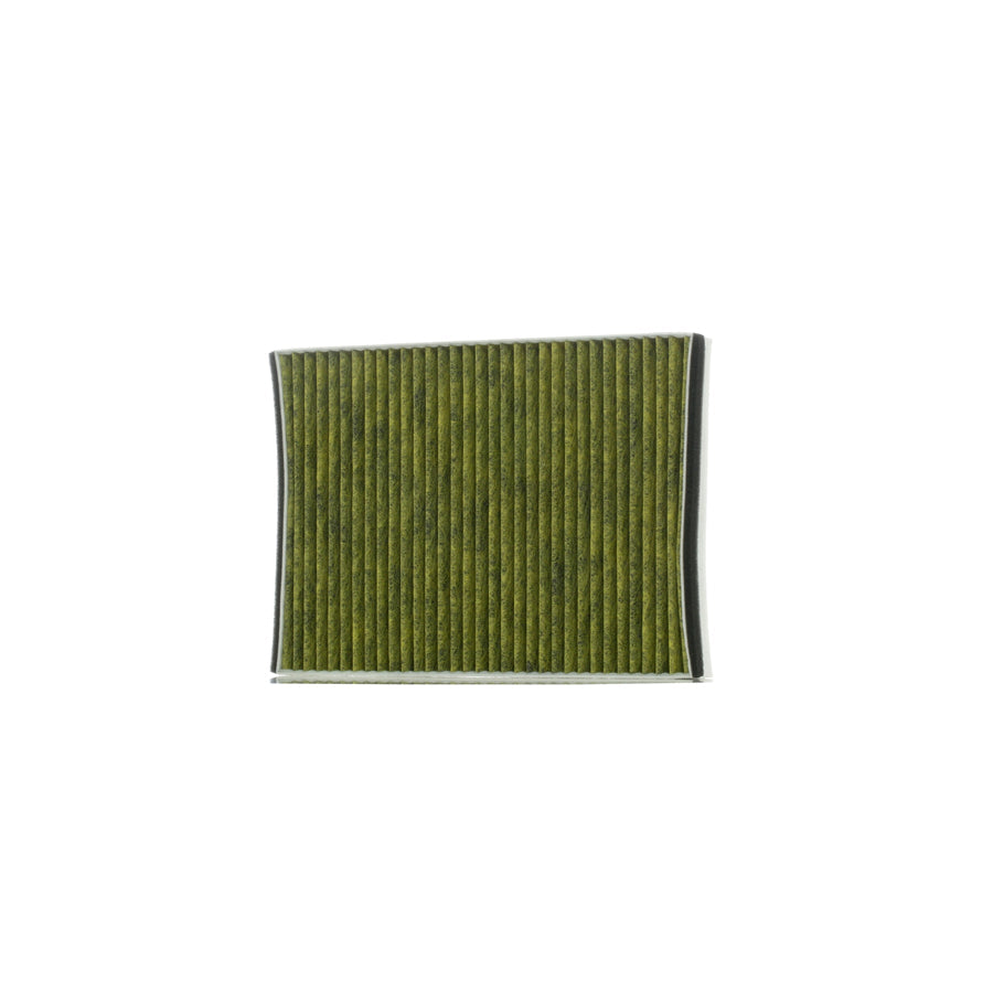 KAMOKA 6080050 Pollen Filter