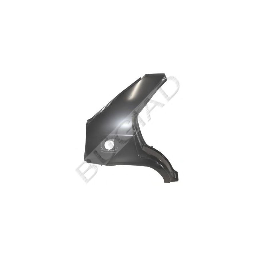 BUGIAD Bsp21868 Wing Fender for Skoda Felicia