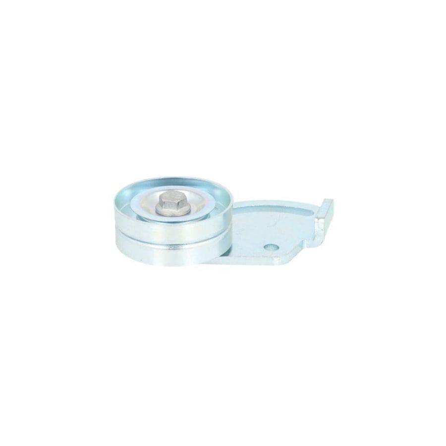 BTA E2C0029BTA Tensioner Pulley