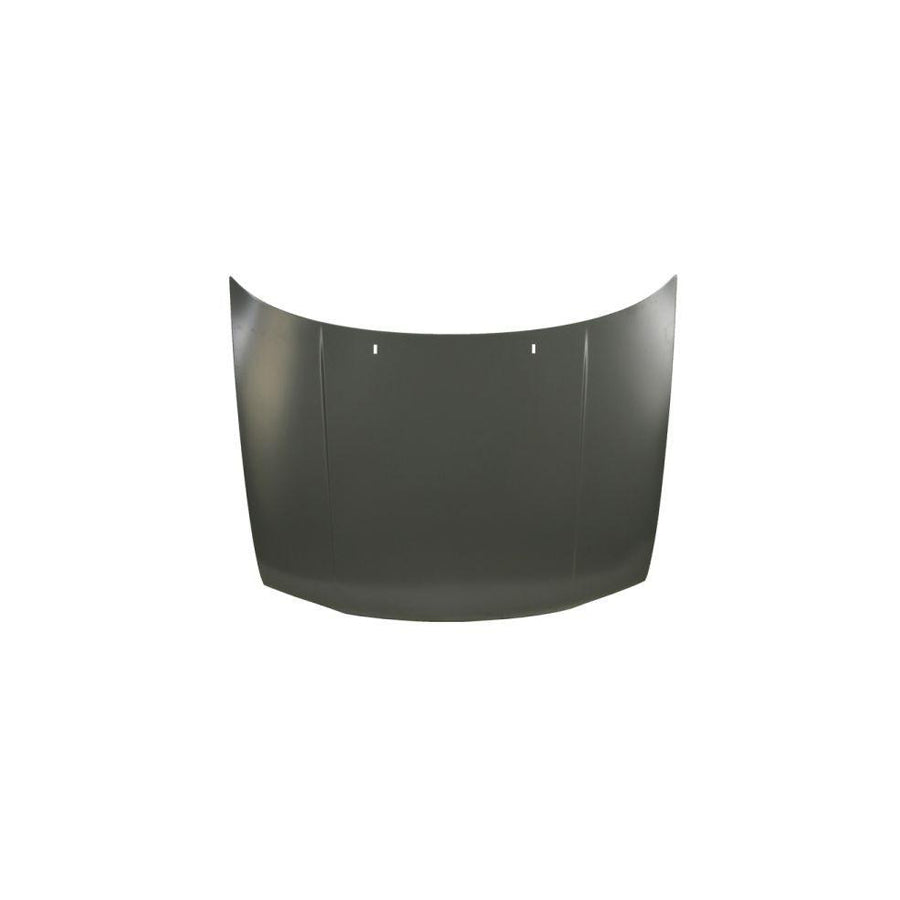 Blic 6803-00-9522280P Bonnet For VW Golf