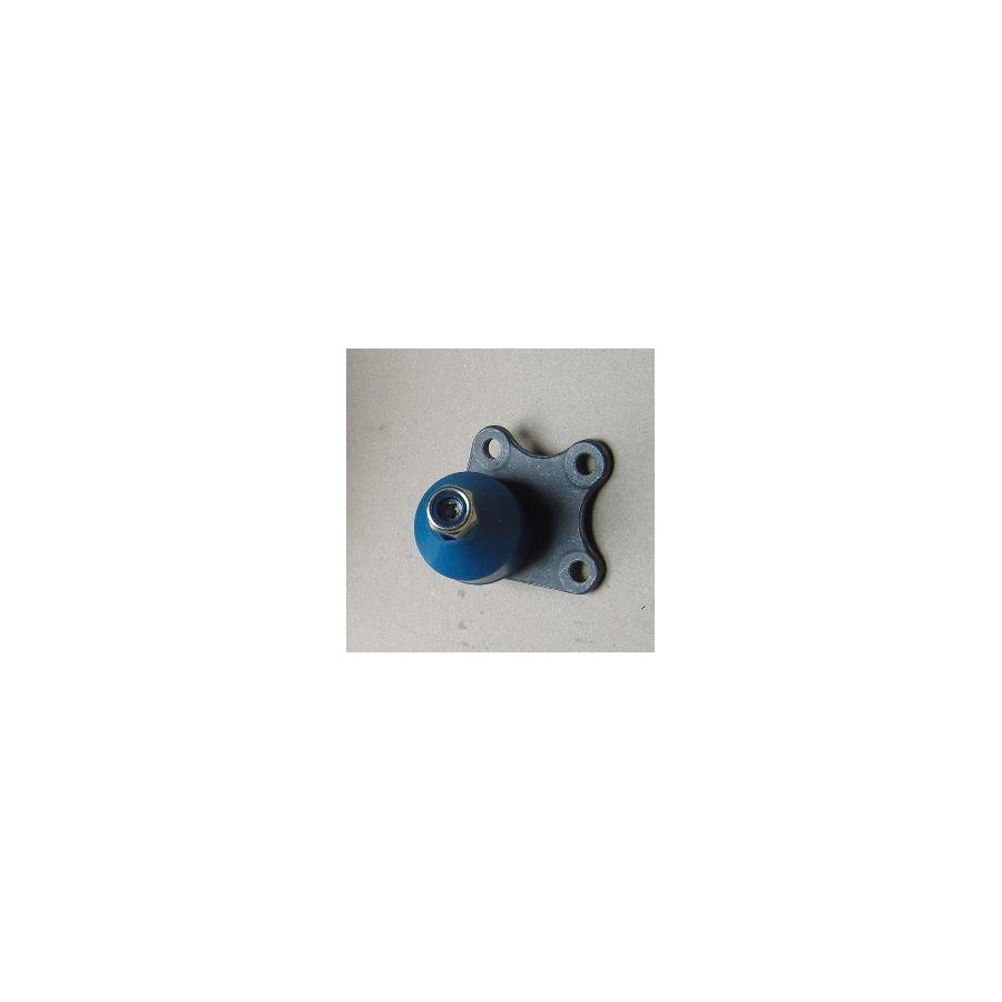 BUGIAD Bsp20373 Ball Joint
