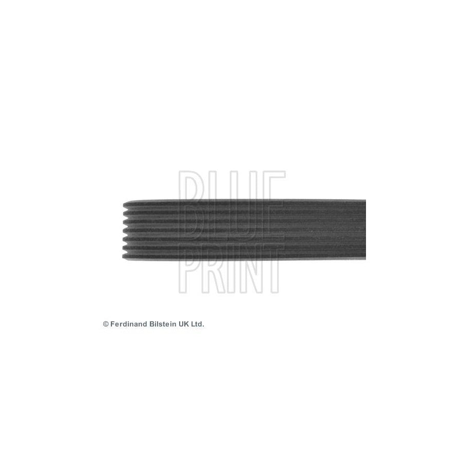 Blue Print Adg09608 V-Ribbed Belt