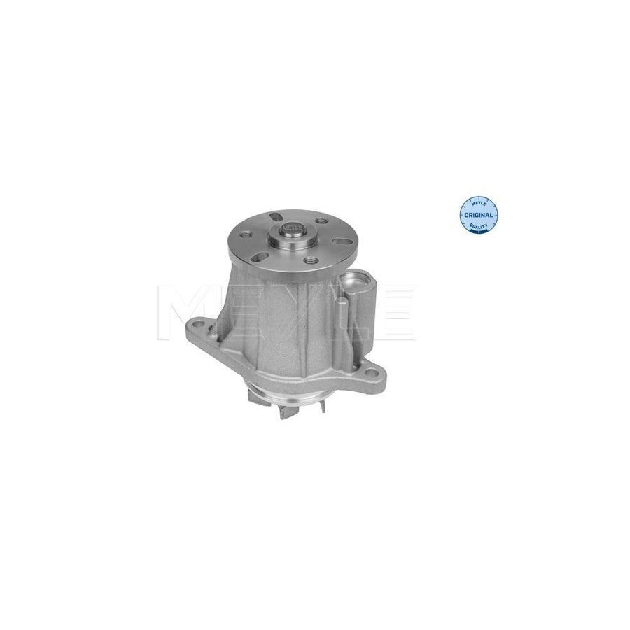 Meyle 53-13 220 0007 Water Pump