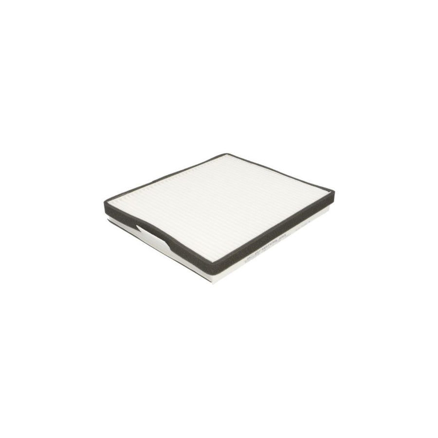 JC Premium B4K002PR Pollen Filter