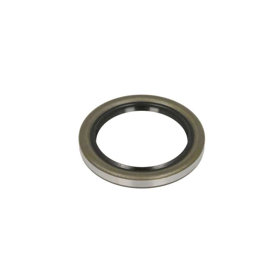 BTA 47000504BTA Shaft Seal, Wheel Bearing