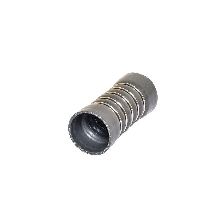 BUGIAD 88691 Charger Intake Hose for Ford Fiesta