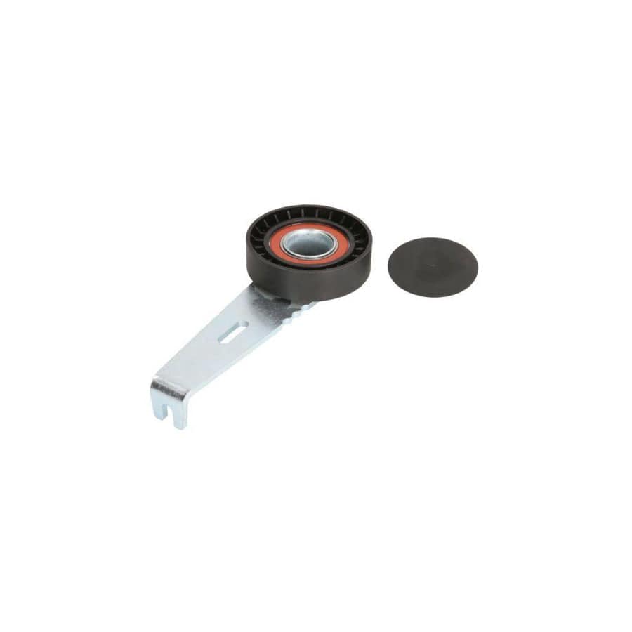 BTA E2C0036BTA Tensioner Pulley