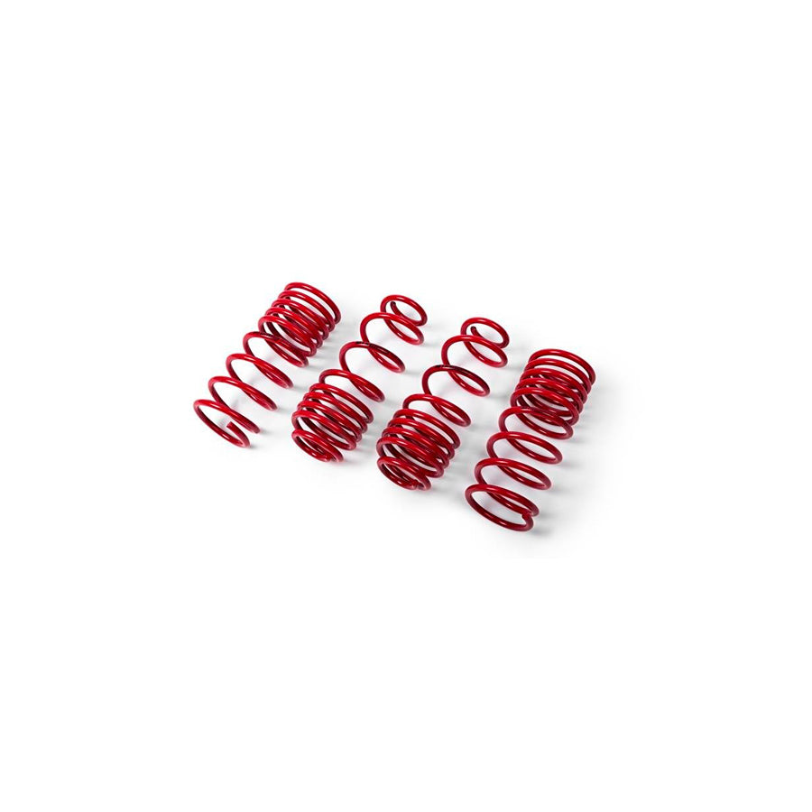 MTS Technik Ford Performance Springs - MTSXFO115 Lowering Springs - Set