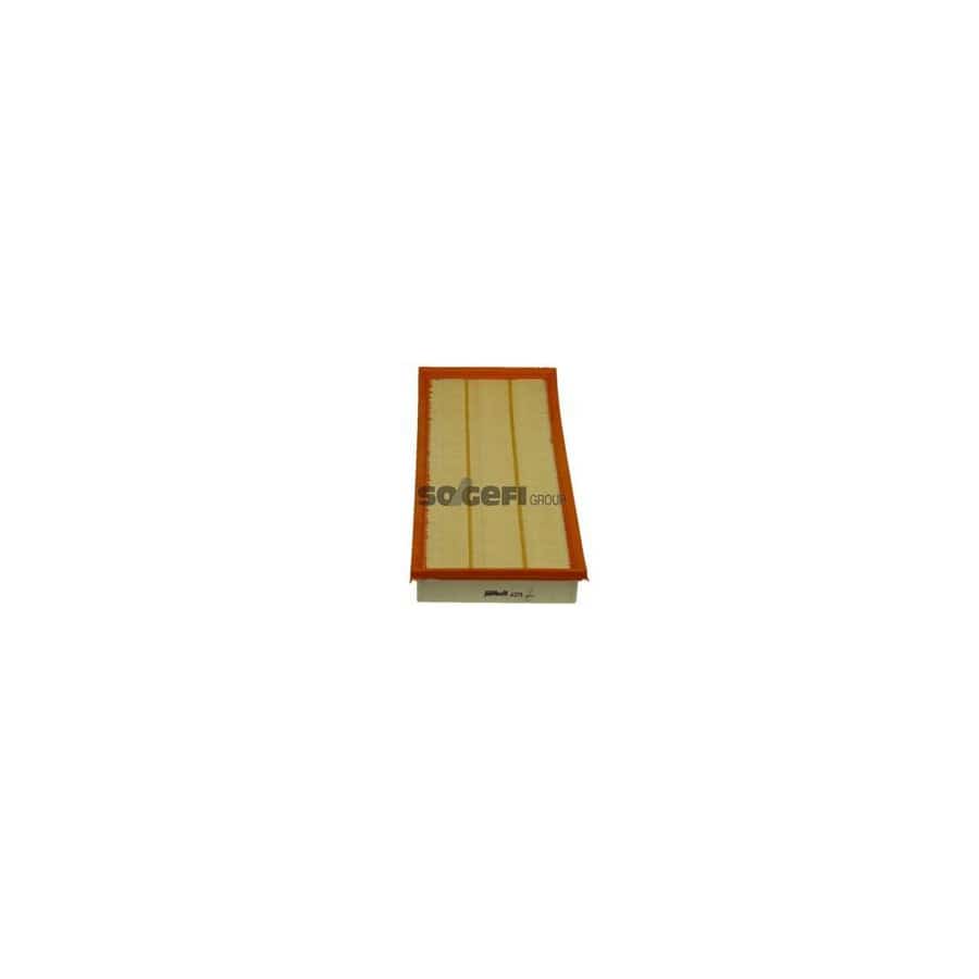 Purflux A379 Air Filter