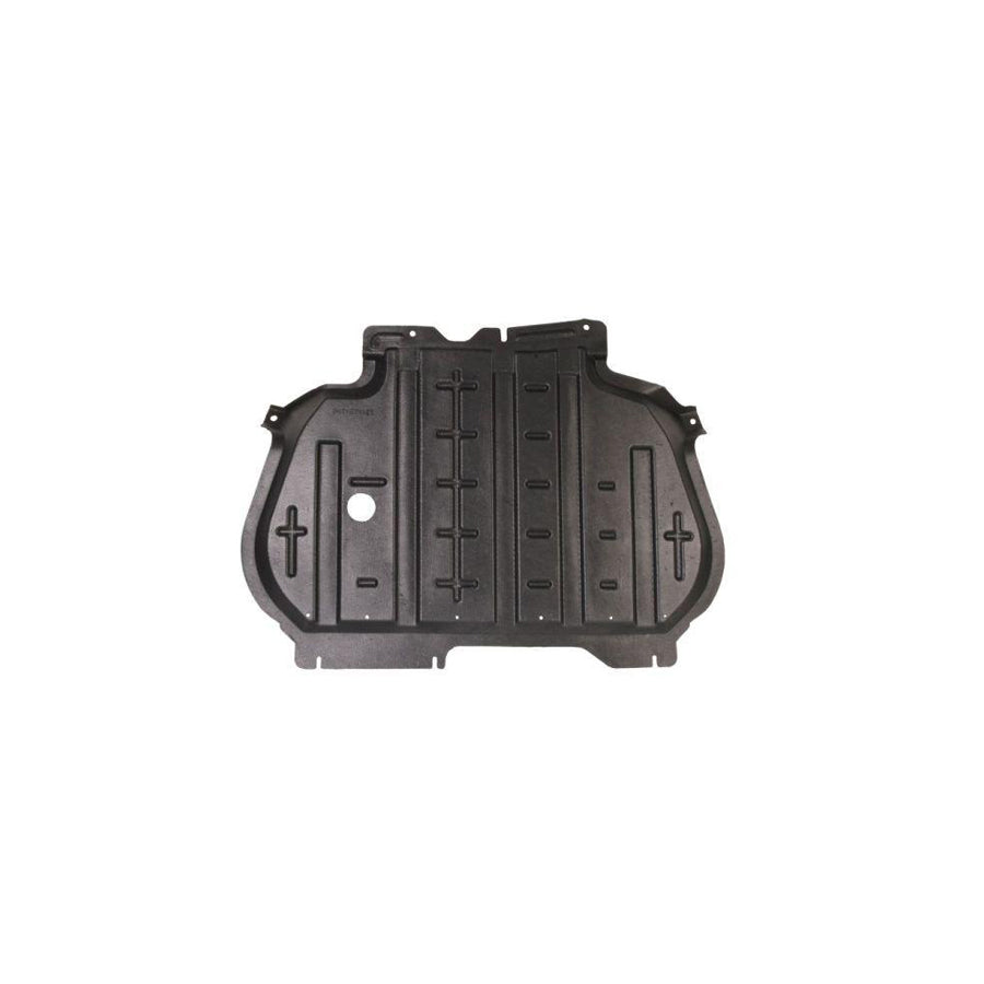 Blic 6601-02-1677860P Engine Cover
