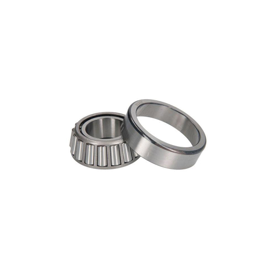 BTA B01-32207 Wheel Bearing