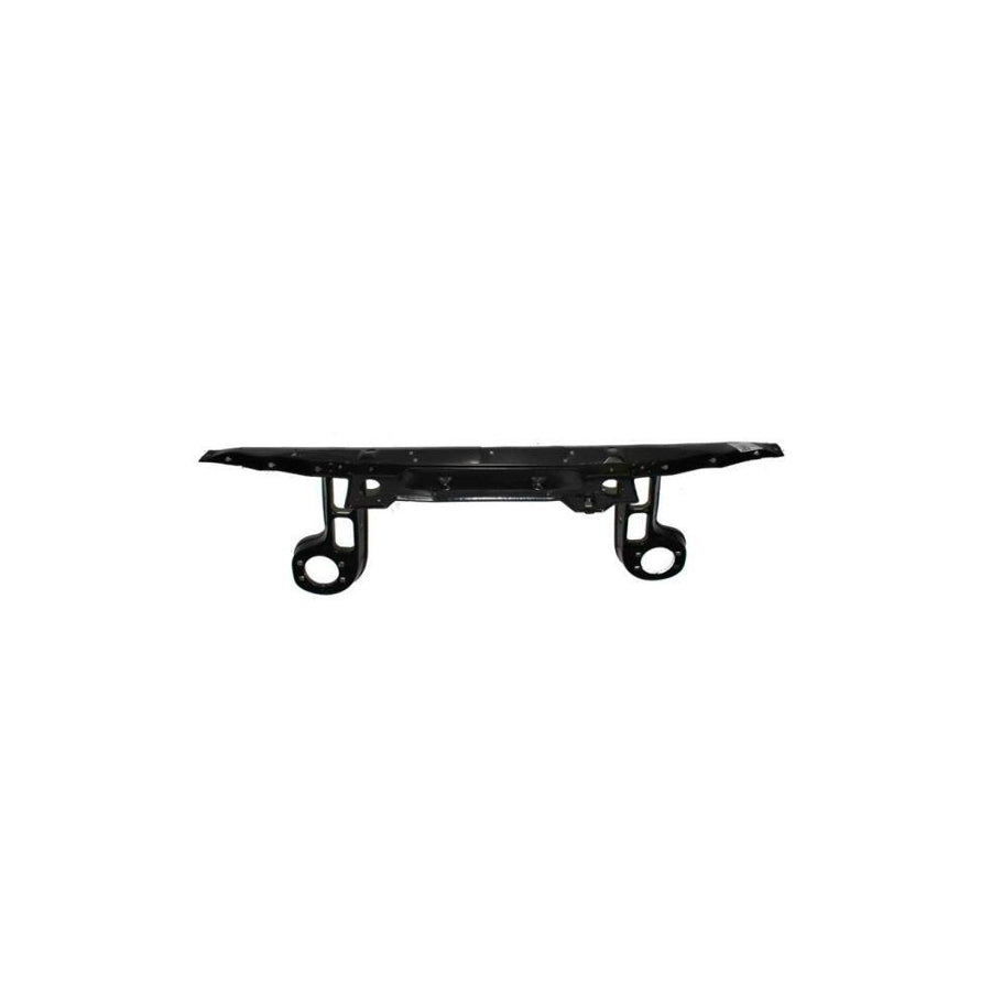 Blic 6502-08-0060200P Front Cowling For BMW 3 Series