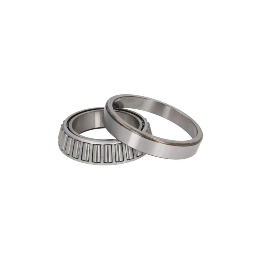 BTA B01-32019 Wheel Bearing