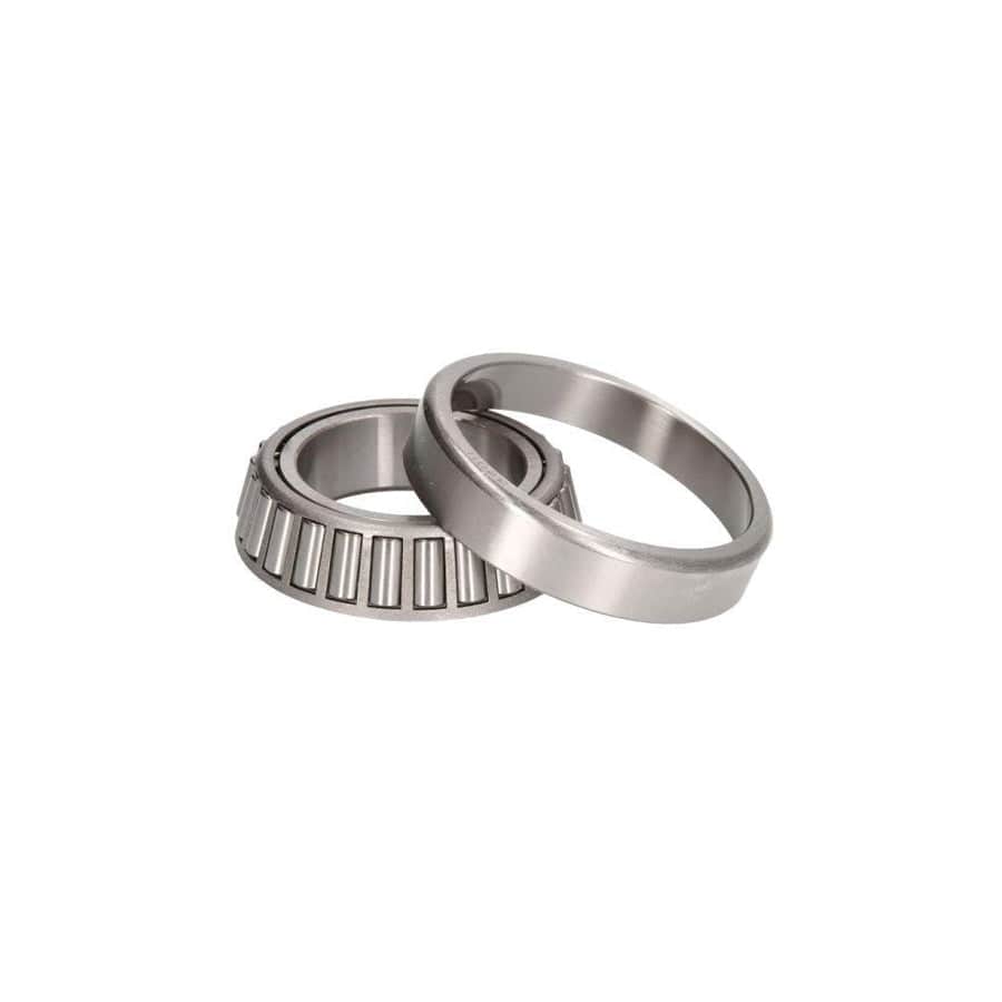 BTA B01-2060 Wheel Bearing