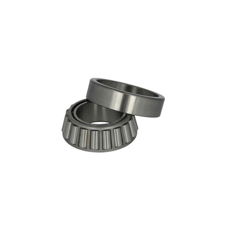 BTA B01-33217 Wheel Bearing
