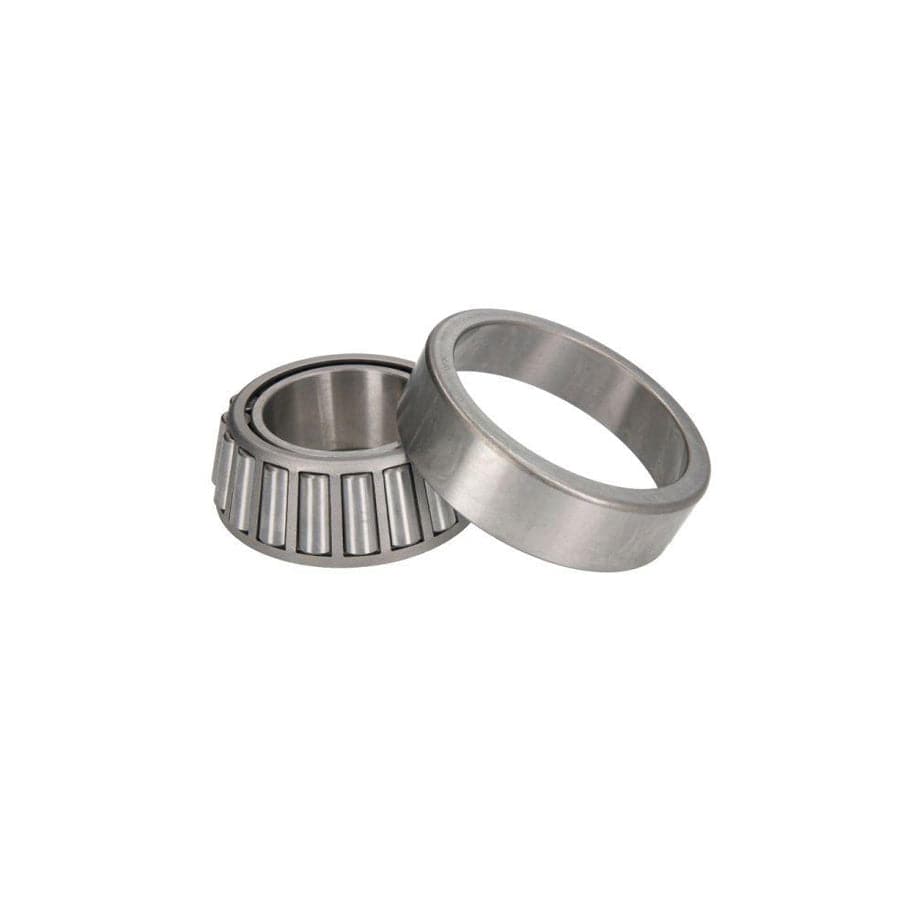 BTA B01-33211 Wheel Bearing