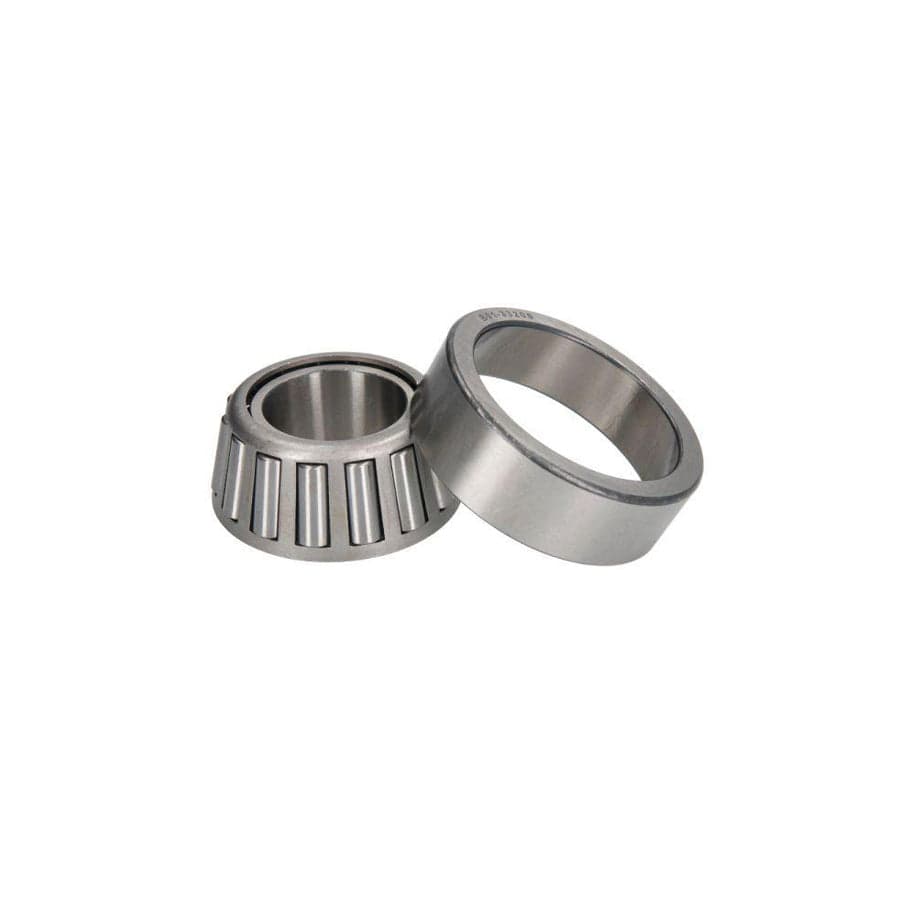 BTA B01-33208 Wheel Bearing