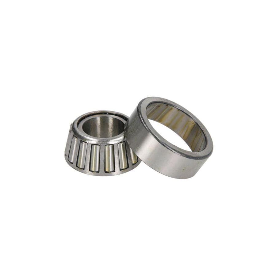 BTA B01-33205 Wheel Bearing