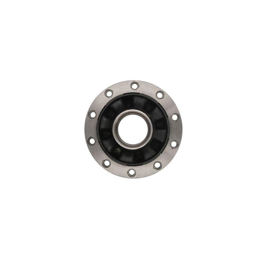 BTA B01-803146 Bearing, Differential Shaft
