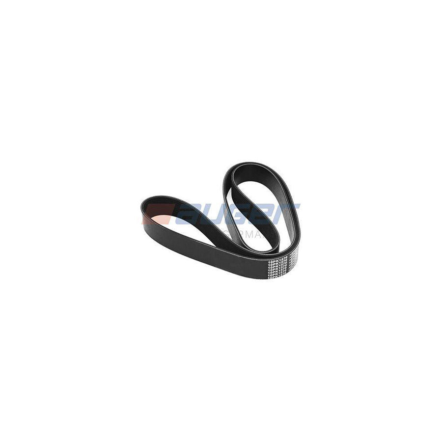 Auger 90473 V-Ribbed Belt