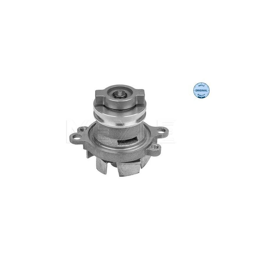 Meyle 213 220 0025 Water Pump