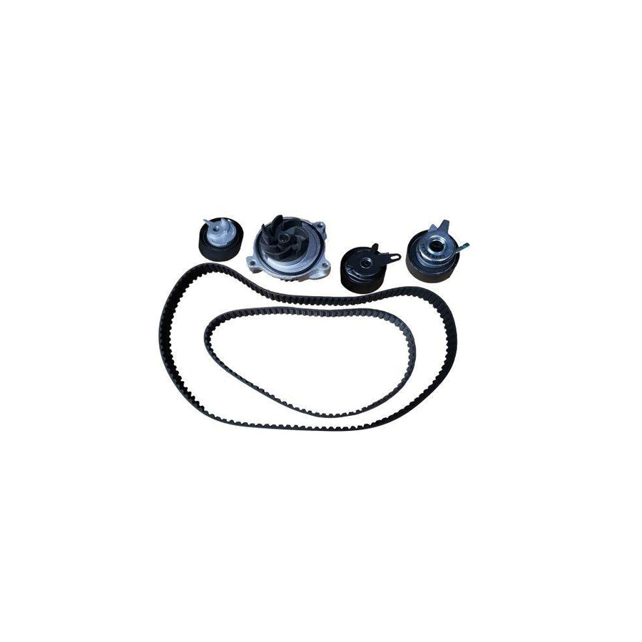 BUGIAD Btb56506 Water Pump And Timing Belt Kit