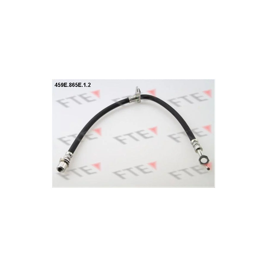 FTE 459E.865E.1.2 Brake Hose