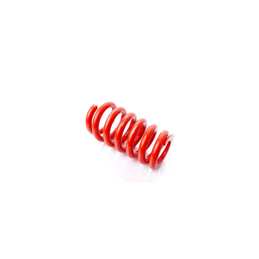 MTS Technik Audi Coil Spring - GWFE275VA Spare Parts