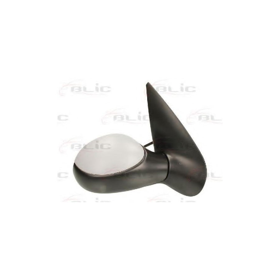 Blic 5402-04-1129283 Wing Mirror For Peugeot 206