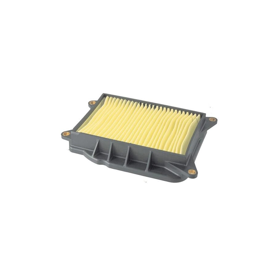 Rms 100602351 Air Filter