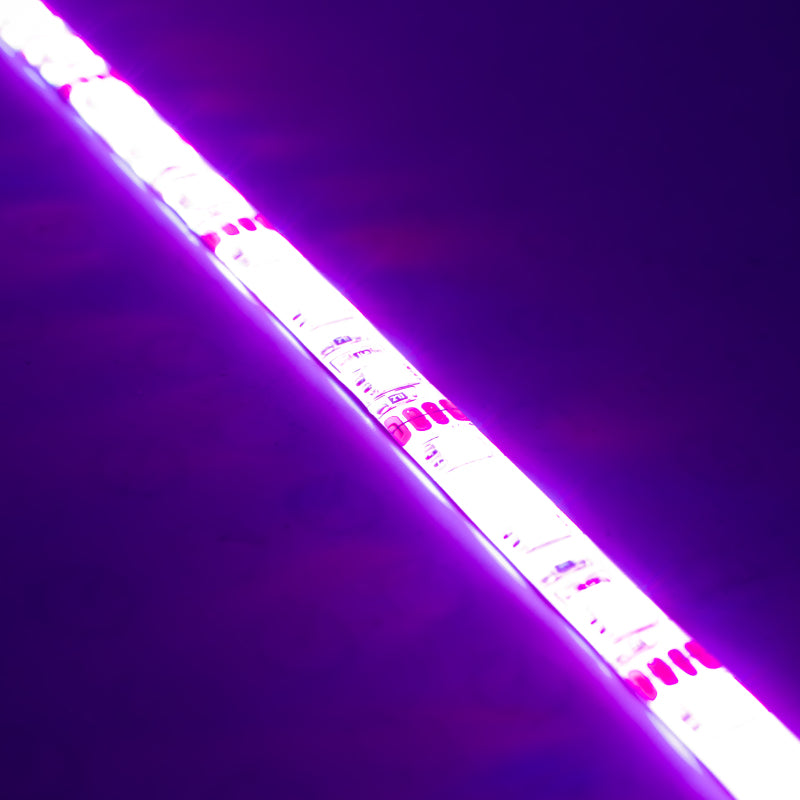 ORACLE Lighting Oracle Engine Bay LED Kit 60in - UV/Purple