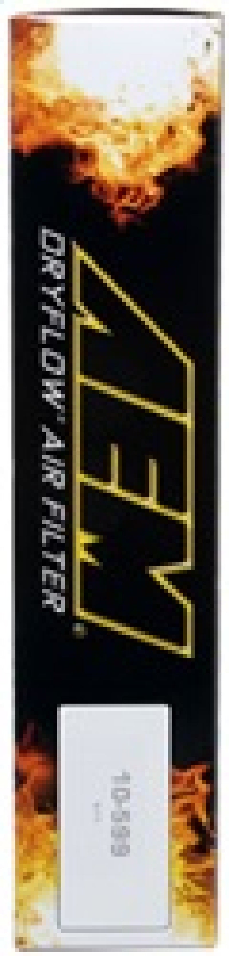 AEM Induction AEM 02-07 Dodge Ram 3.7L (V6)/4.7L-5.9L (V8) Dryflow Panel Air Filter