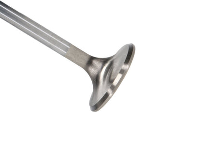 Manley Performance Manley Ford Racing Cylinder Head 4.6L & 5.4L SOHC 36.0mm Race Master Exhaust Valves *Set of 8*