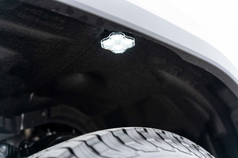 Diode Dynamics Stage Series Single-Color LED Rock Light Kit - 8-Pack