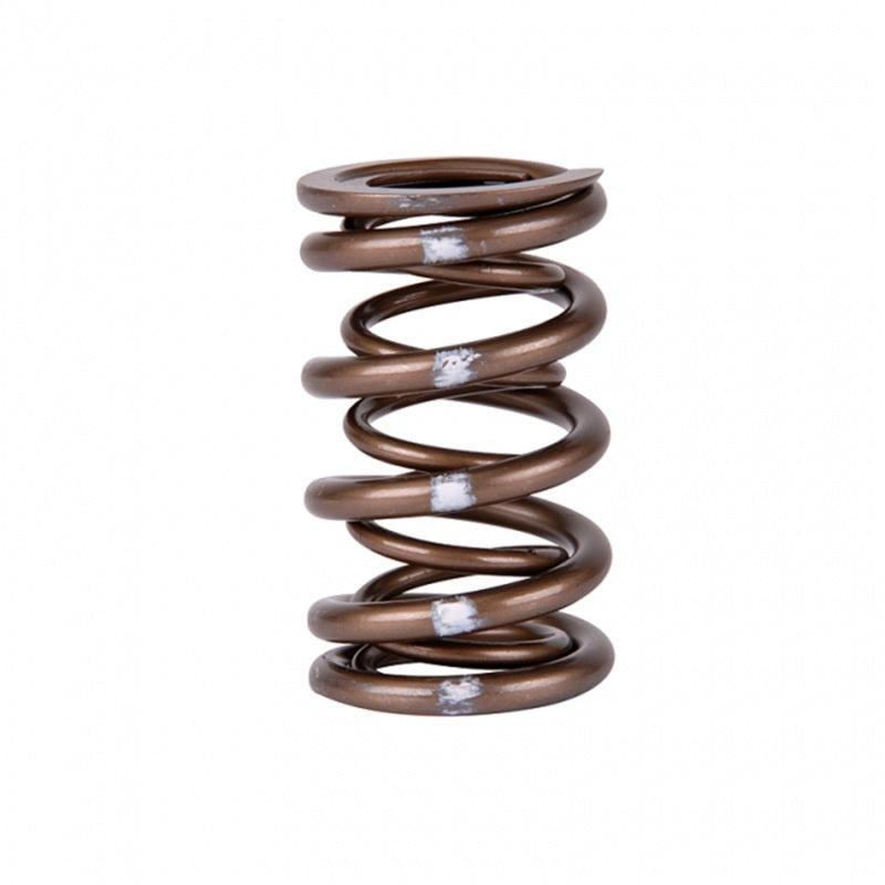 Skunk2 Racing Skunk2 Pro Series Honda/Acura B-Series VTEC XP Valve Spring Set (Dual Springs)