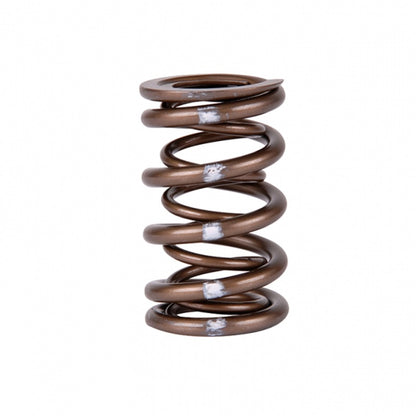 Skunk2 Racing Skunk2 Pro Series Honda/Acura B-Series VTEC XP Valve Spring Set (Dual Springs)