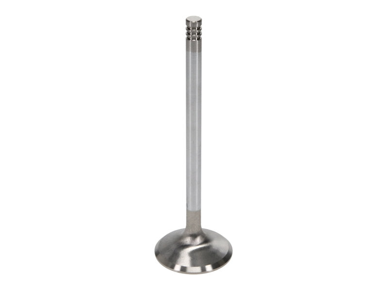 Manley Performance Manley Ford 6.2L 42mm Diameter 5.356in O/A Length Race Master Exhaust Valves (Set of 8)