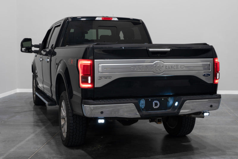 Diode Dynamics 15-20 Ford F-150 C2 Sport Stage Series Reverse Light Kit