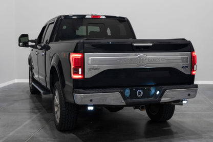 Diode Dynamics 15-20 Ford F-150 C2 Sport Stage Series Reverse Light Kit