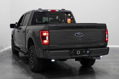 Diode Dynamics 21-22 Ford F-150 Stage Series Reverse Light Kit C2 Sport